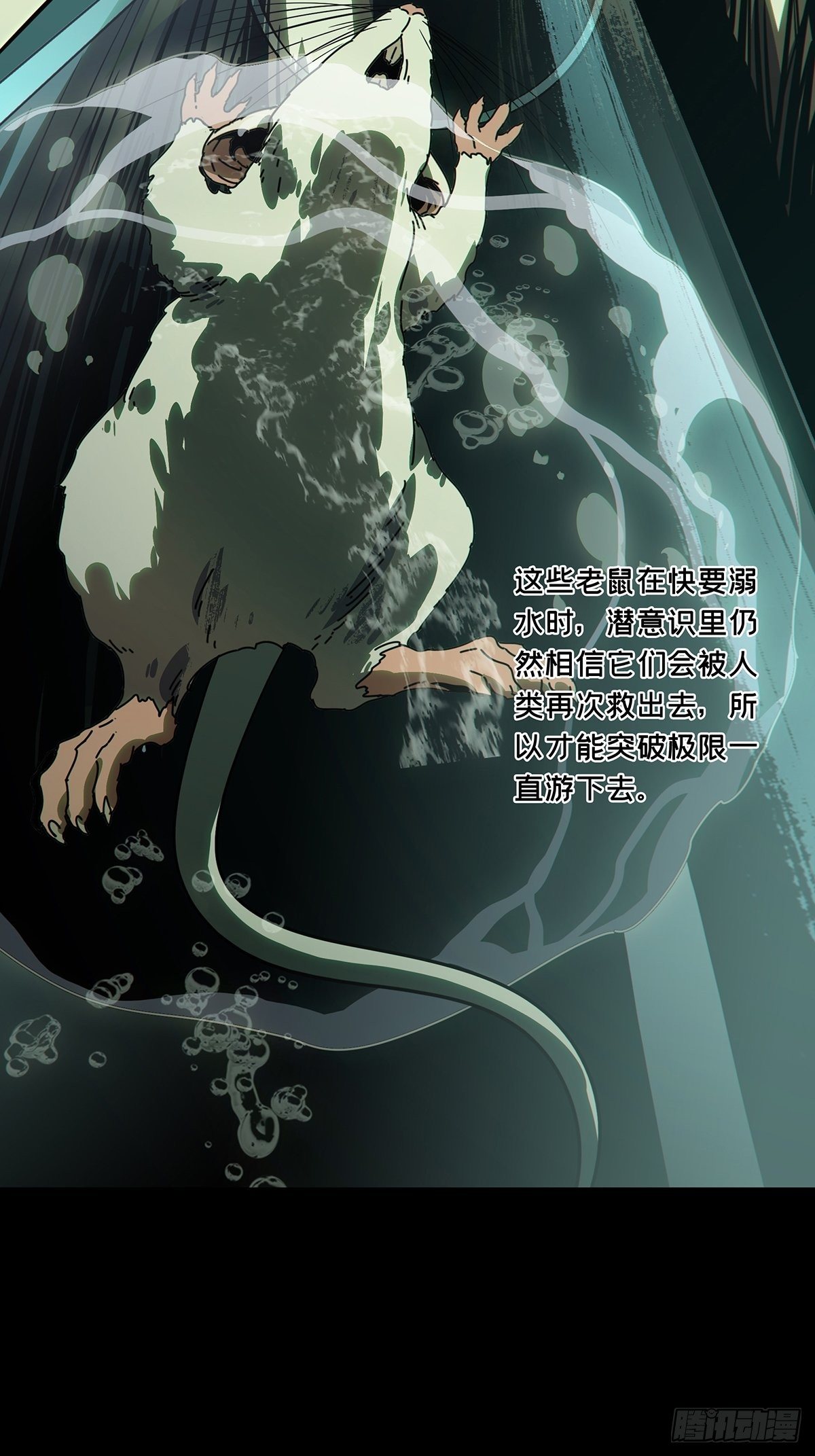 第一百六十八章_希望中28