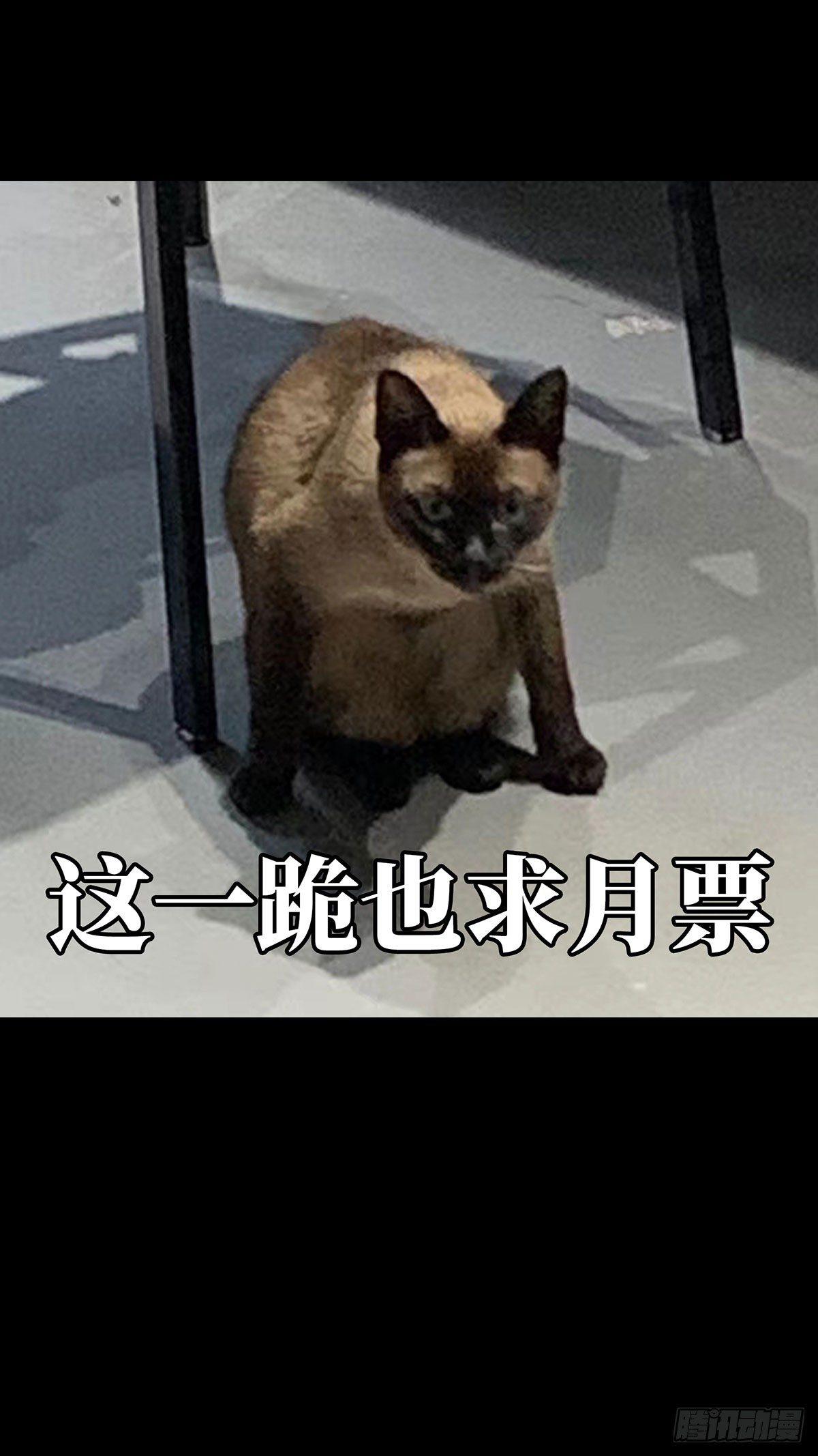 第五十六章_家上39