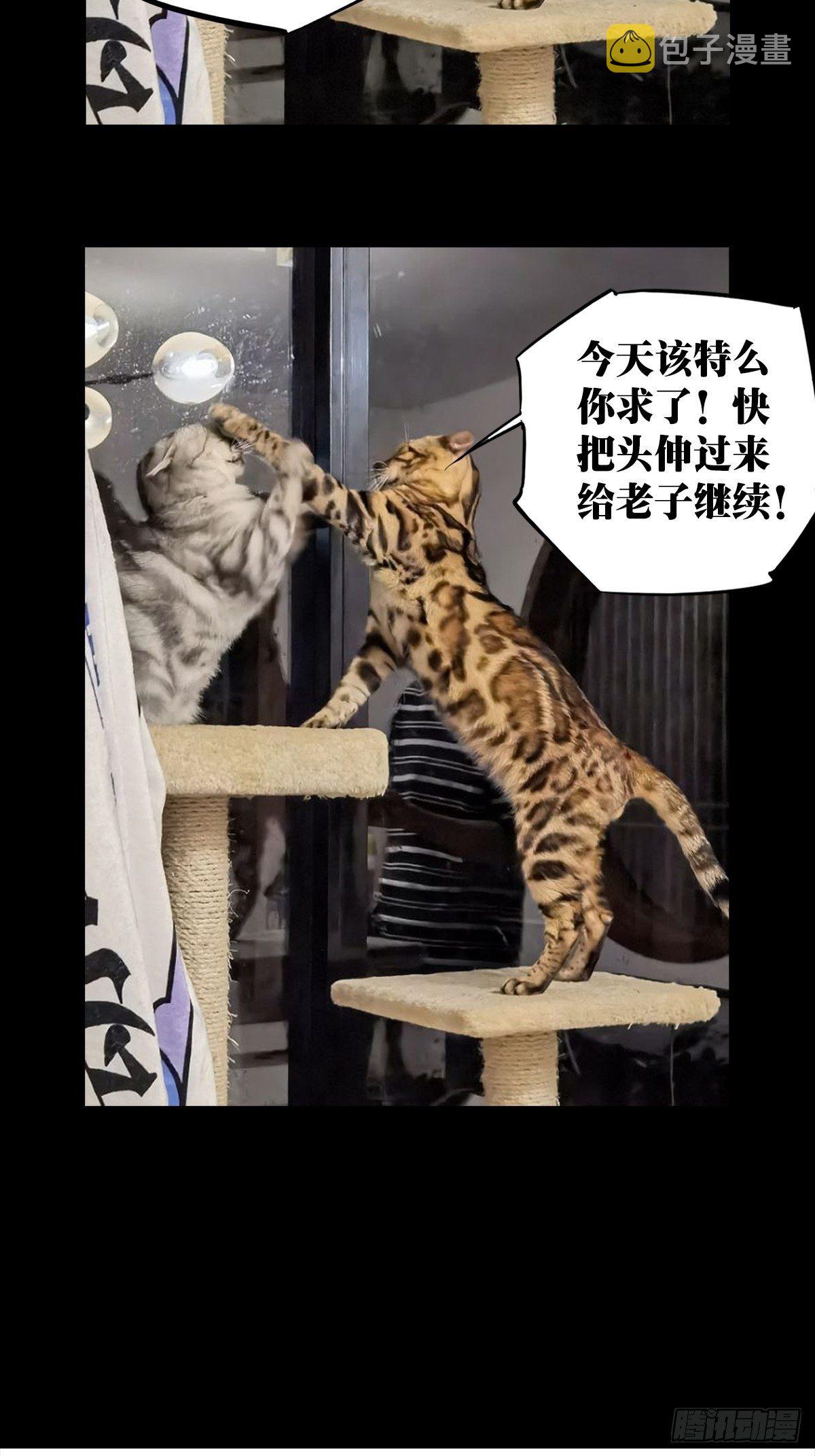 第一百五十八章_约定上42