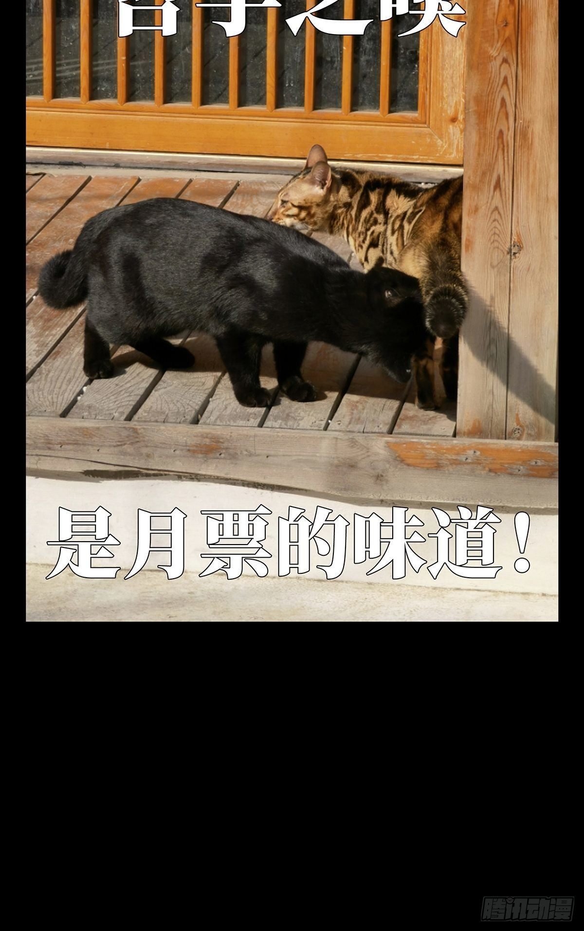 第一百一十七章_灵域中49