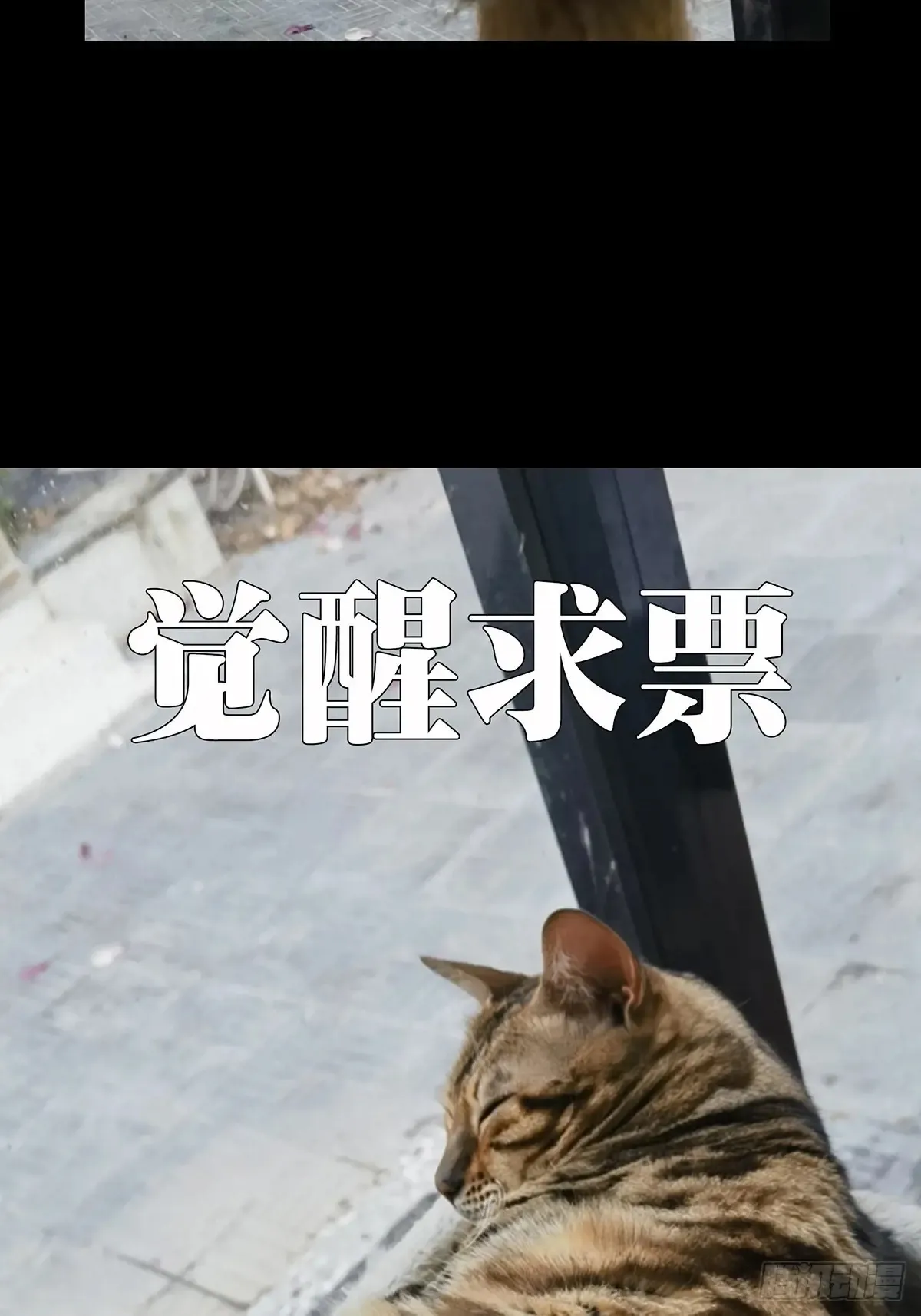 第四百零三章/看戏中51