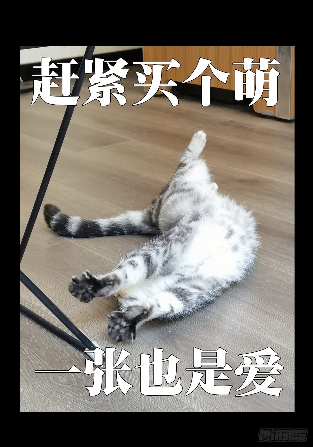 第一百六十五章_牙牙中47