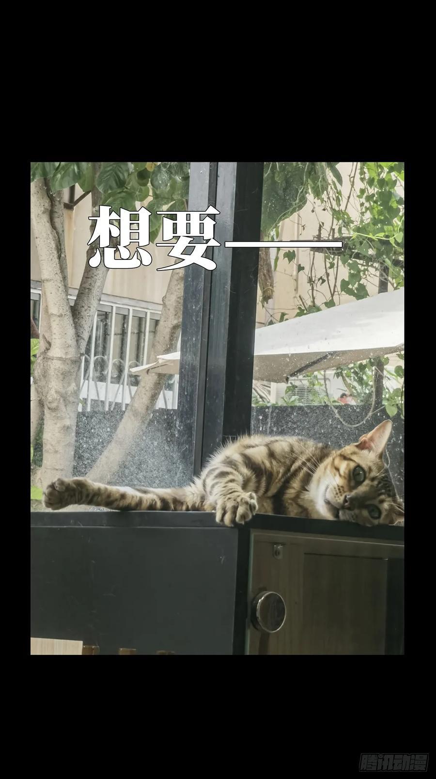 第三百三十七章_因果中49