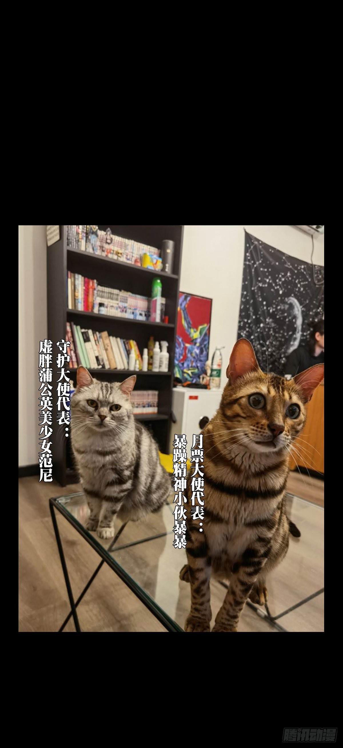 第二百二十五章_夺魁赛开始下37