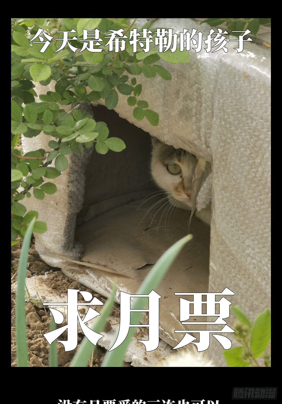第一百三十三章_黄九郎下48