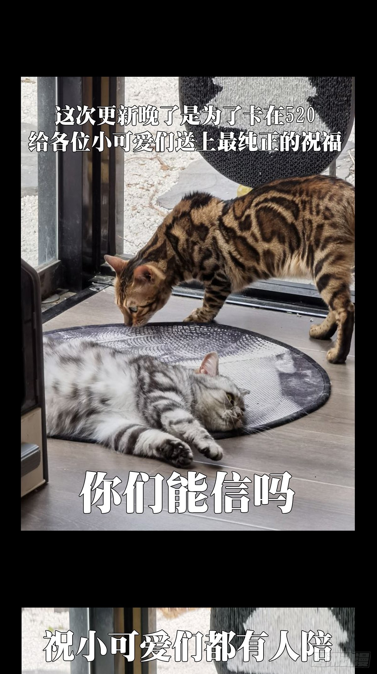 第二百二十章_鲜于修下47