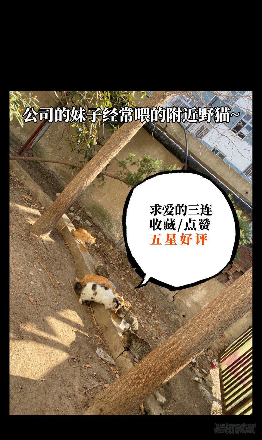 第四十一章_看门者上38
