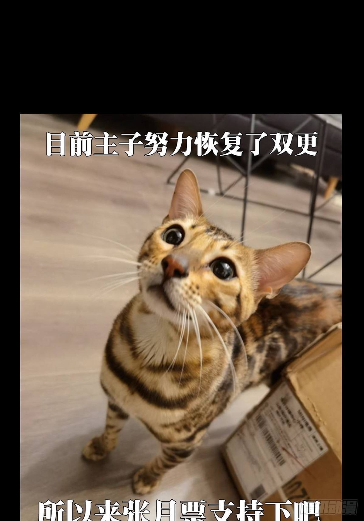 第一百八十九章_反击中46