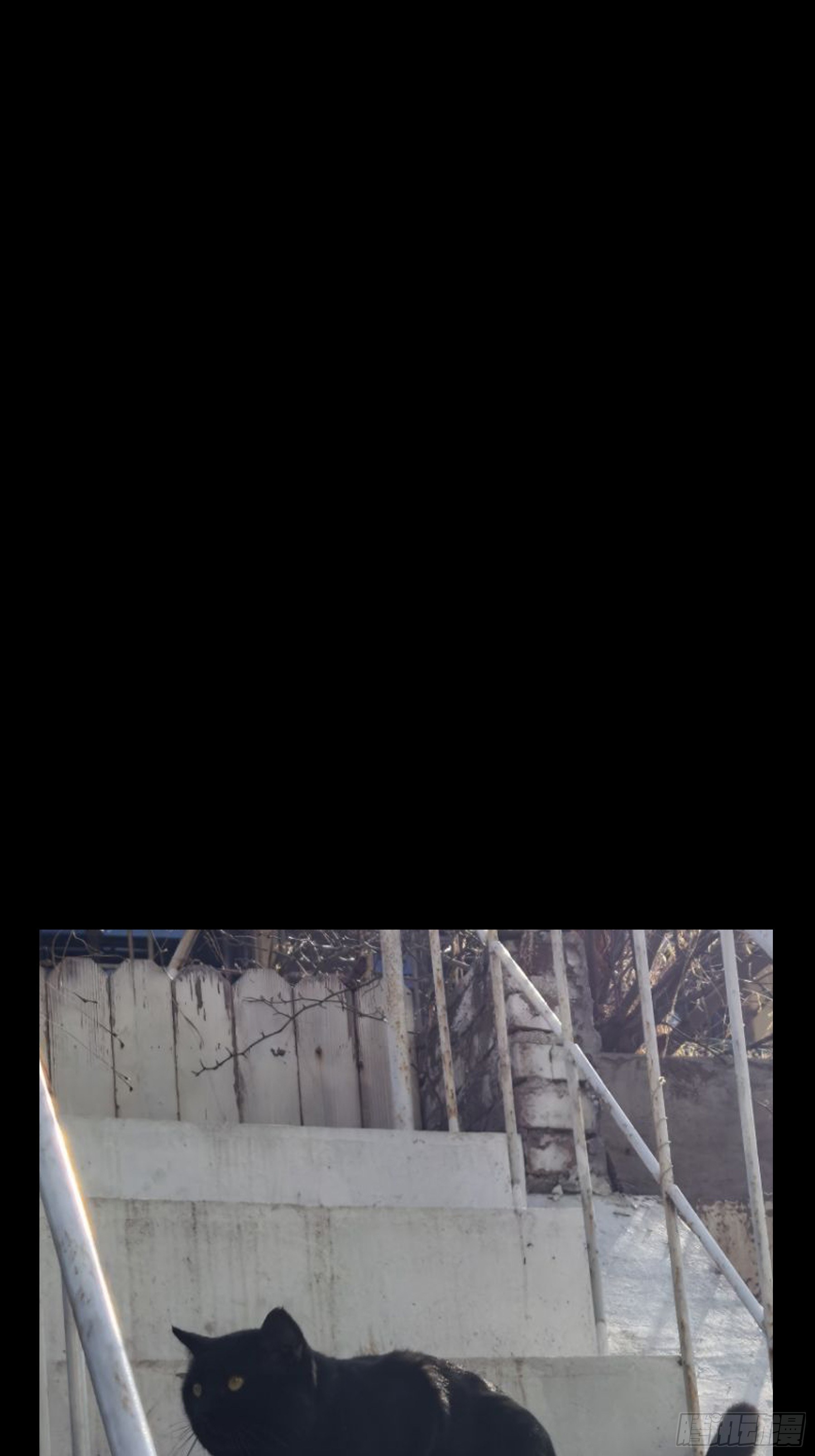 第一百一十九章_对手上49