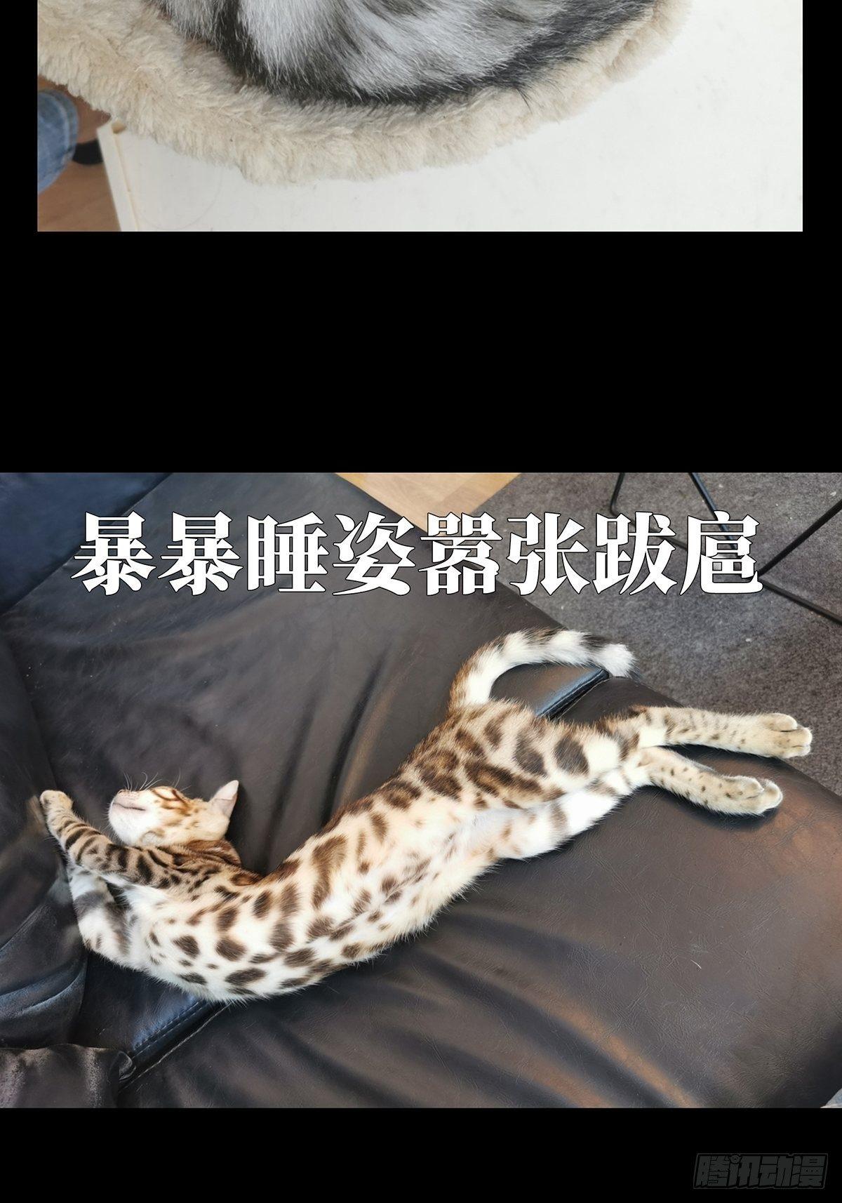 第七十八章_同门对决中41