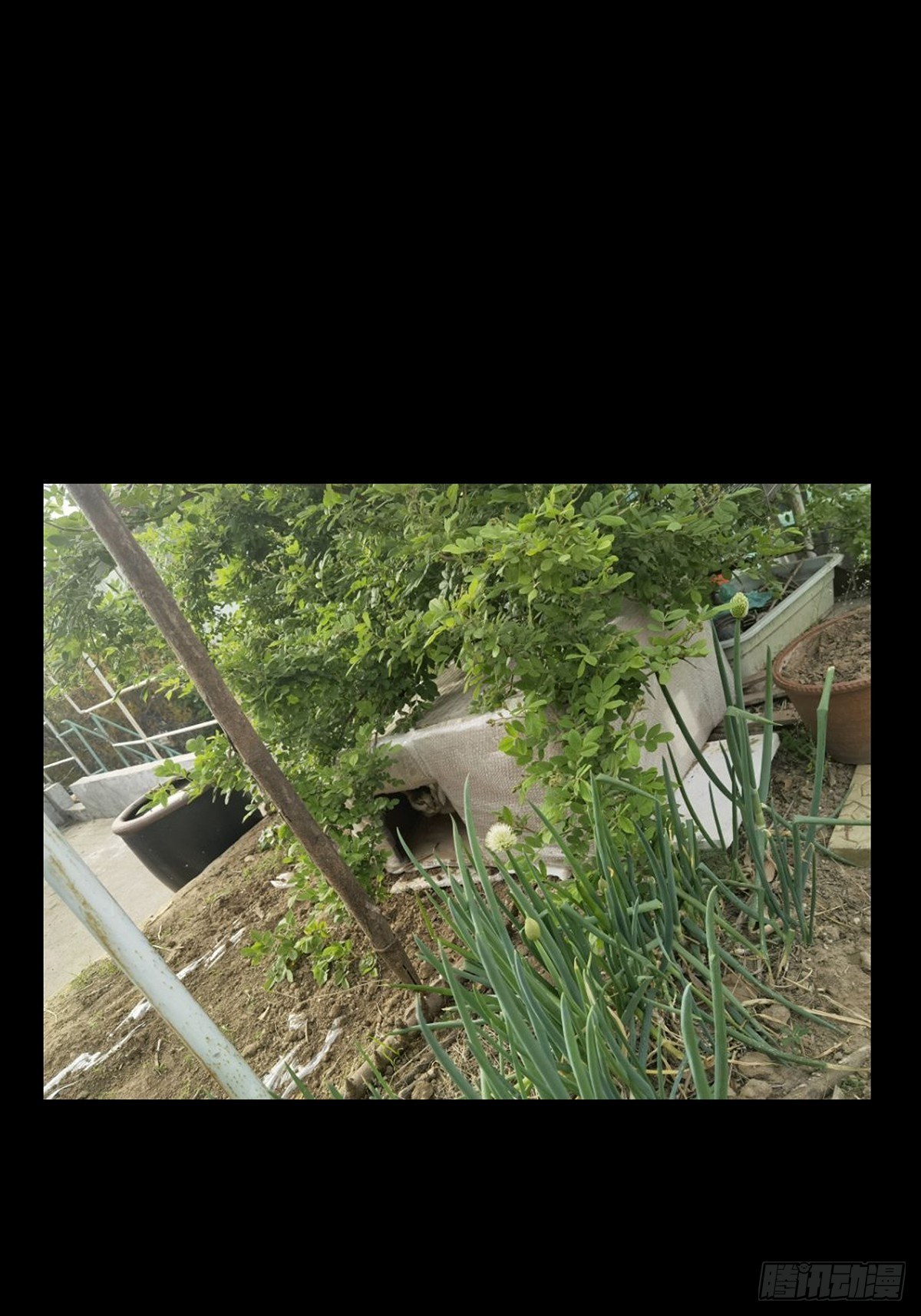 第一百三十三章_黄九郎下47