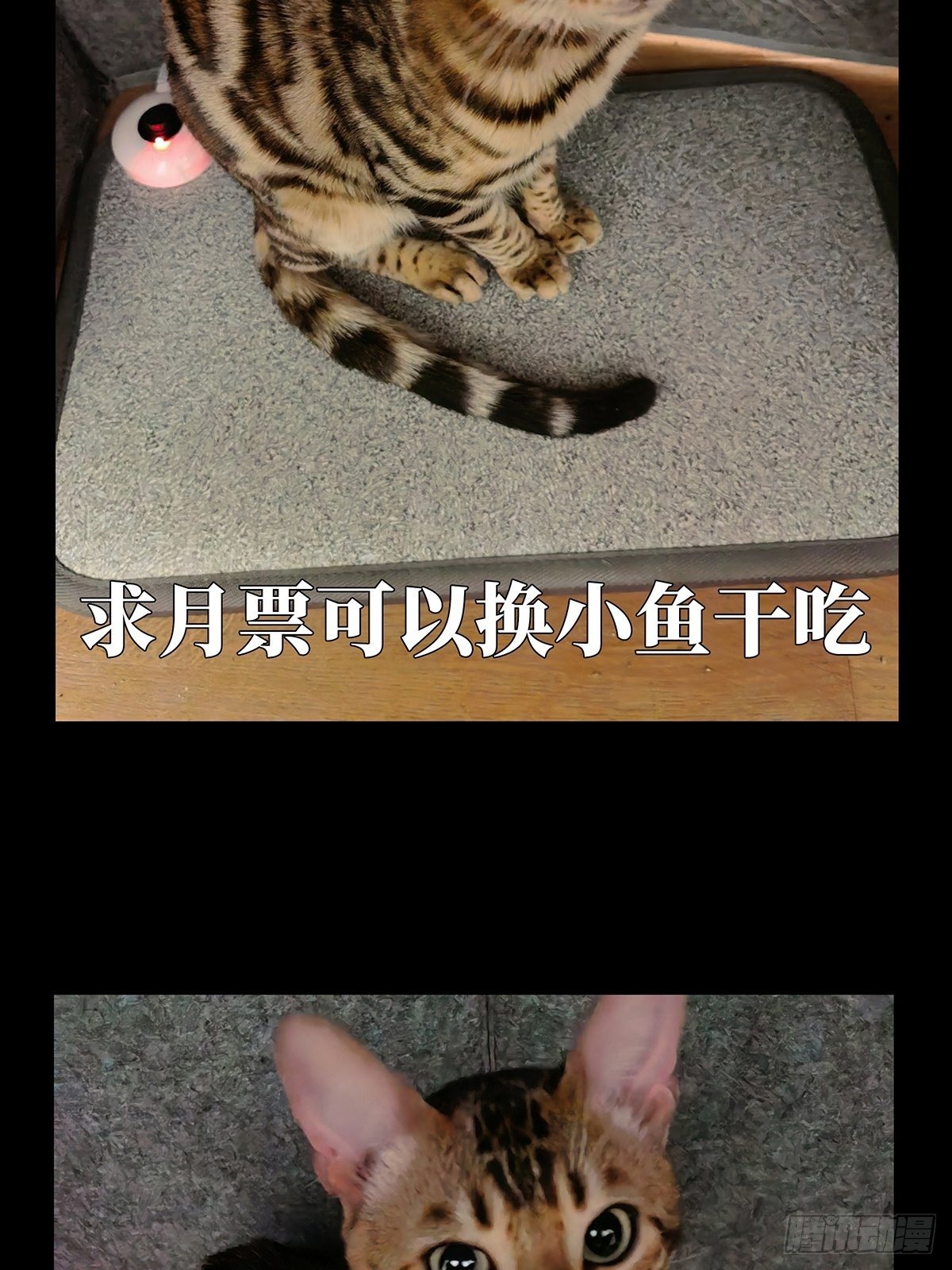 第一百一十八章_灵域下45