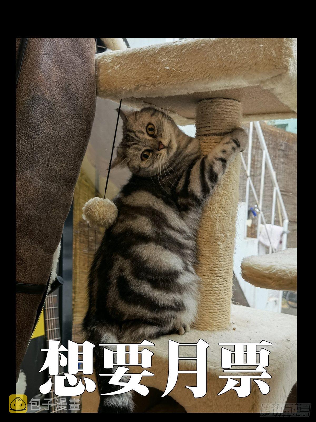 第一百八十八章_反击上42