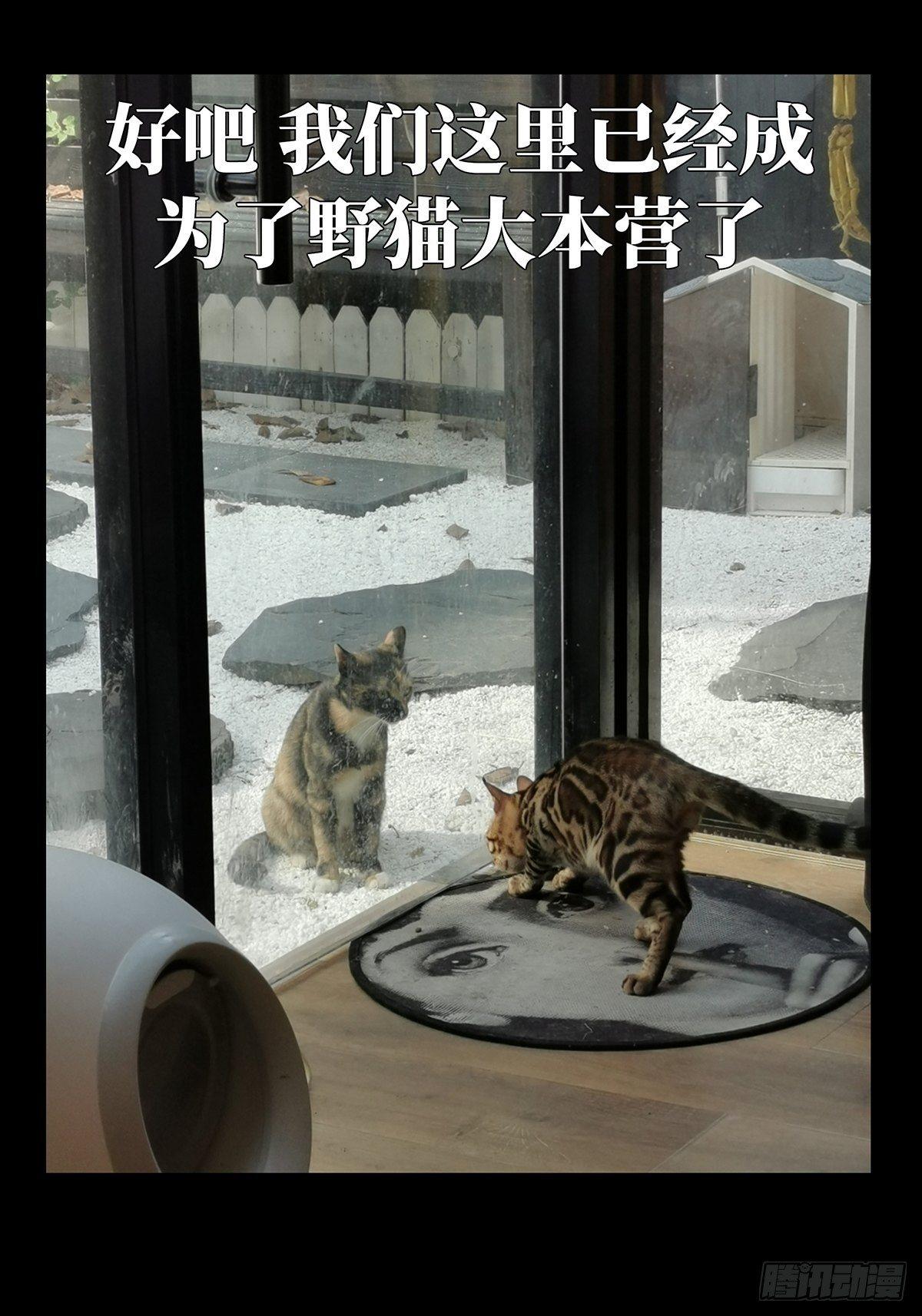 第九十七章_灵息下32