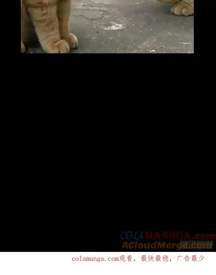 第三百八十一章_追踪上54