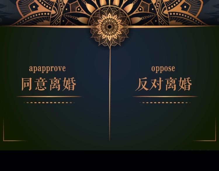 人物档案揭秘14