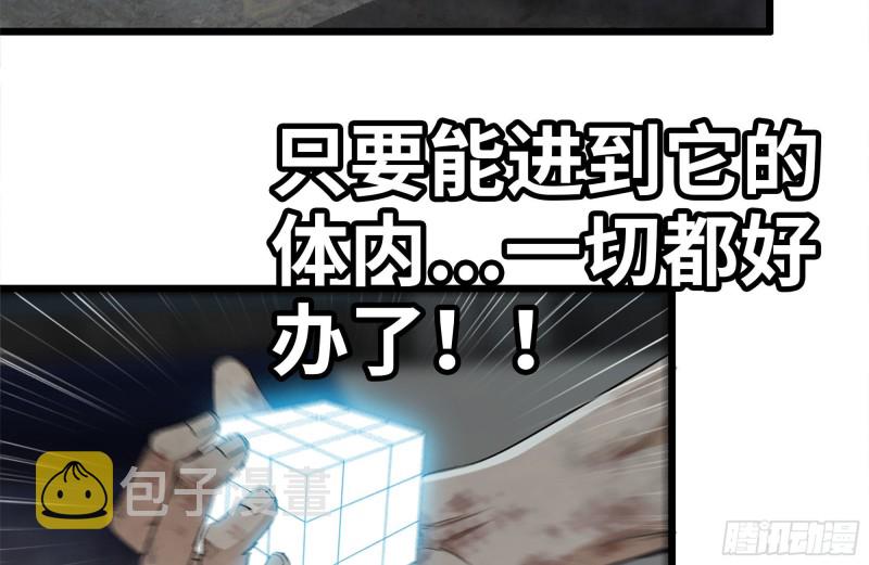 146-放手一搏46