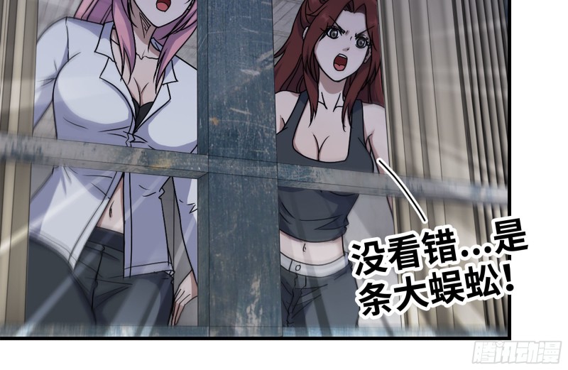 204-一级警报12