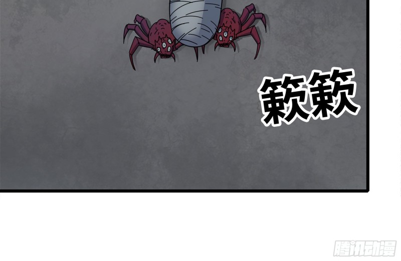 185-蜘蛛女王10