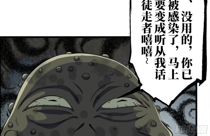 137-青蛙军团？15