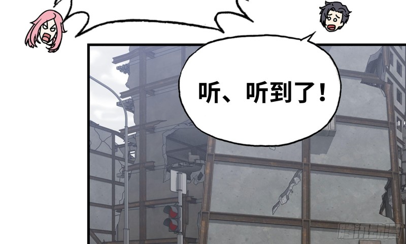 66-关于金爷7