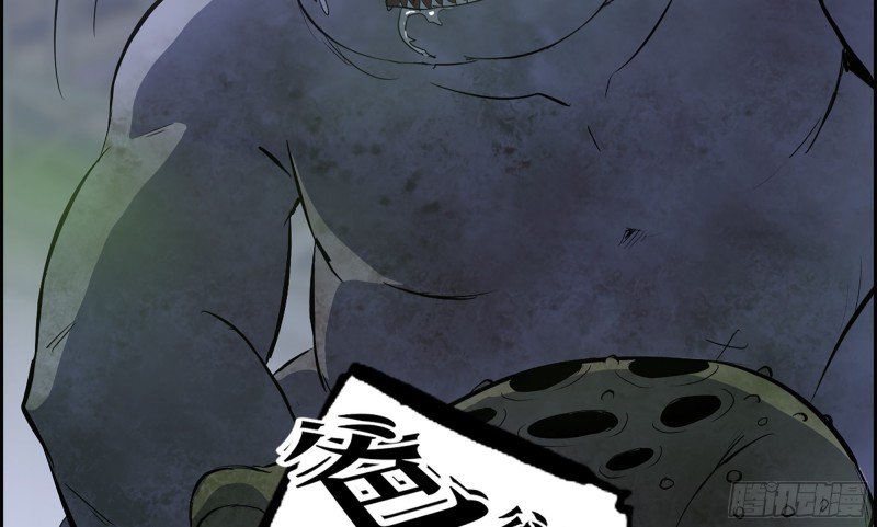 147- 负子蟾19