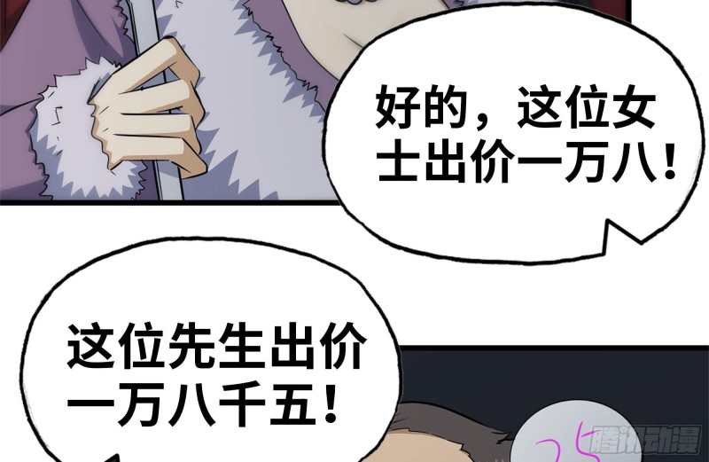 161-拍卖开始79
