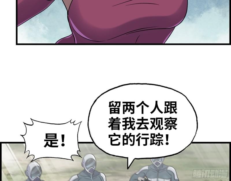 374- 孢子病毒29