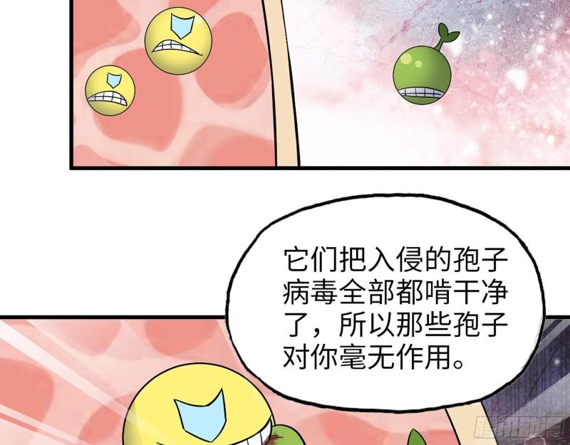 374- 孢子病毒15