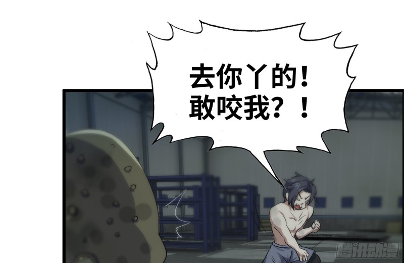 137-青蛙军团？13
