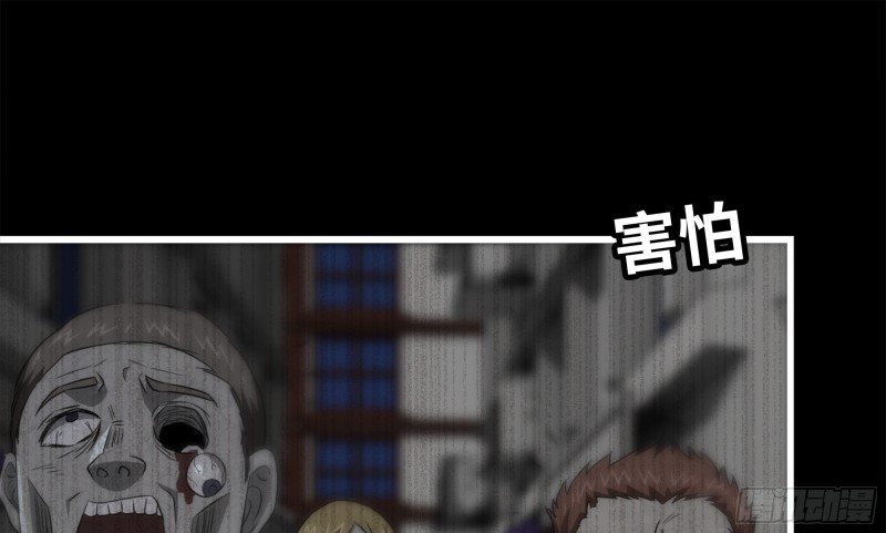 148- 负子蟾291