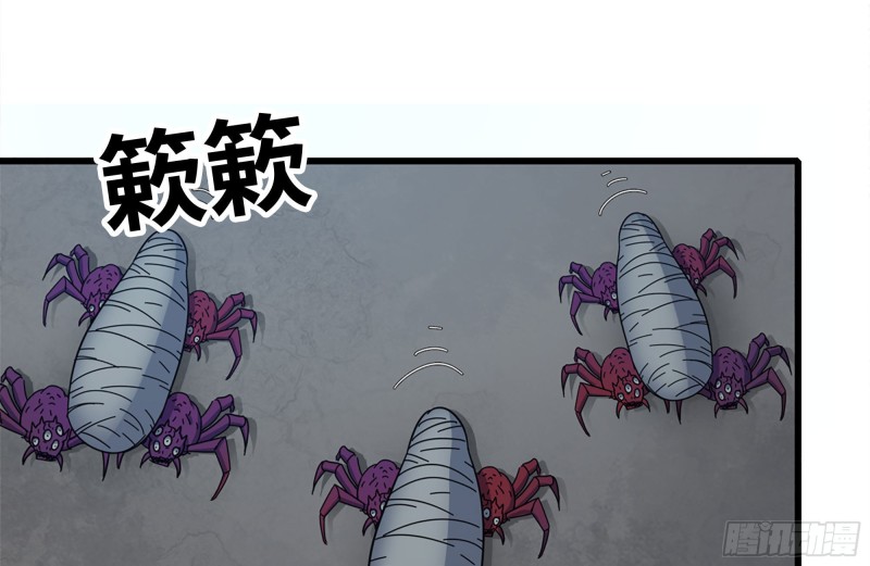 185-蜘蛛女王9