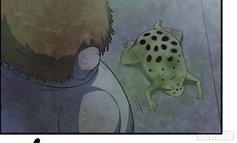 147- 负子蟾17