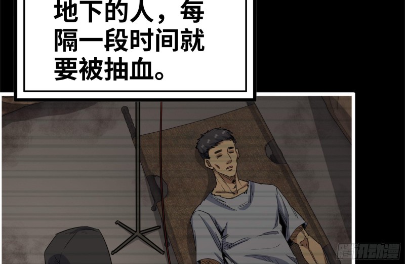 264-地下生活80