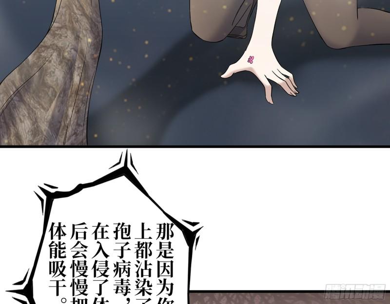 374- 孢子病毒4