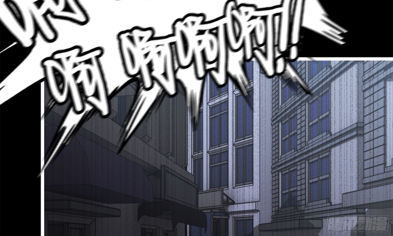 148- 负子蟾248