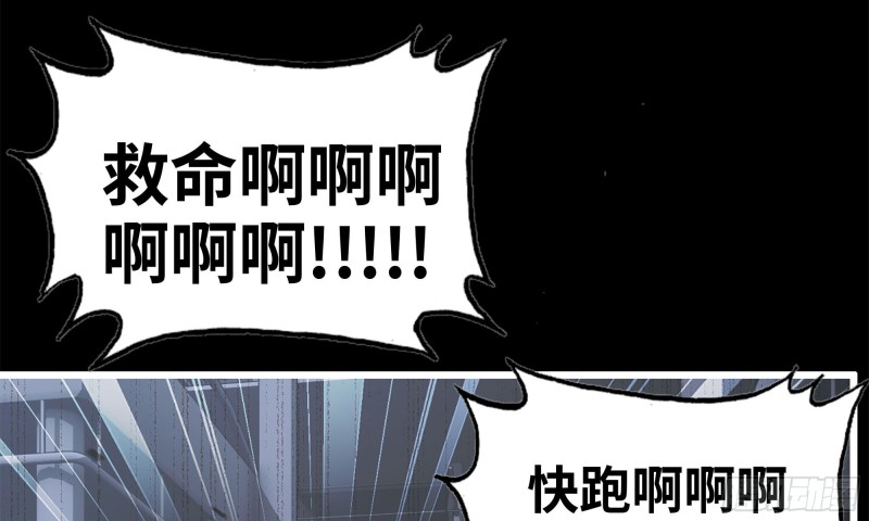 148- 负子蟾245