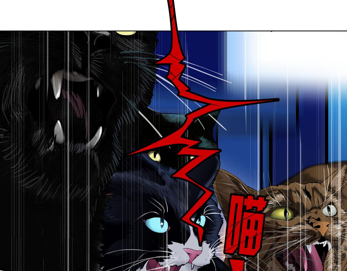 133【决战篇】黑则武知道啦！50