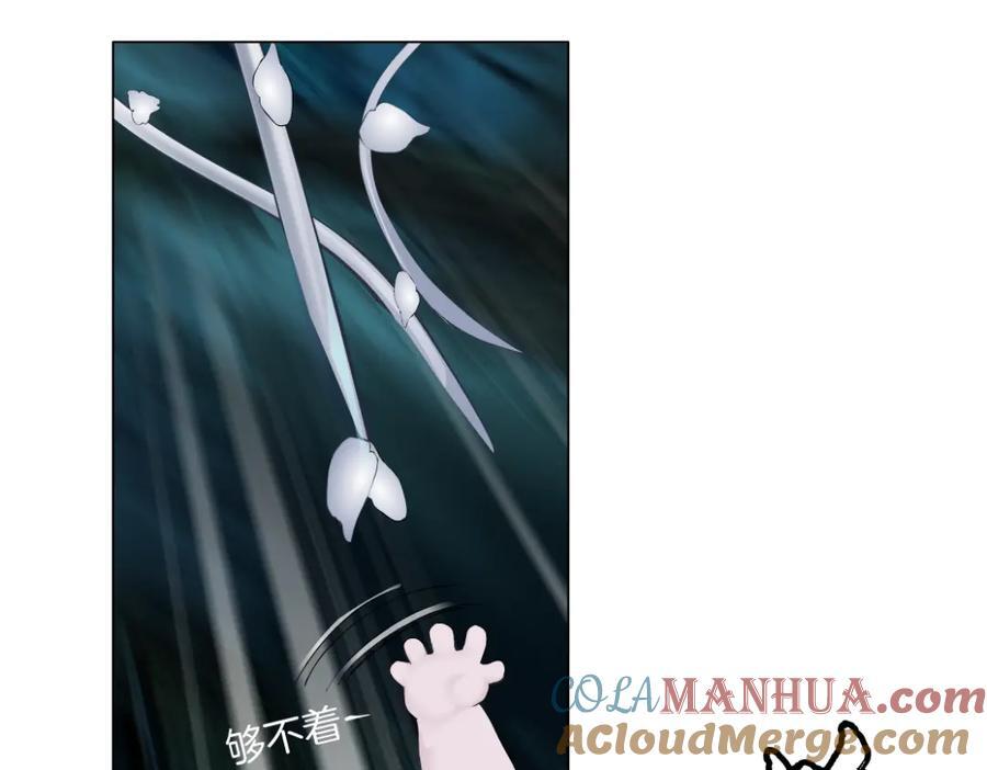 234【脑洞篇】毒蘑菇9