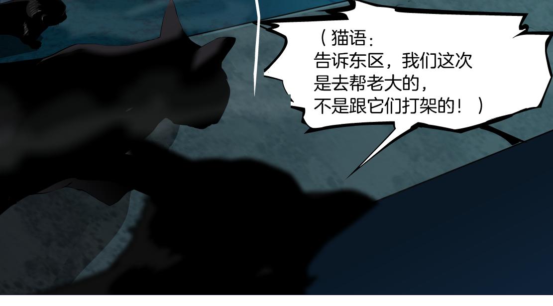 129【决战篇】猫语者52