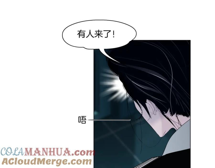 244【事业篇】本软靠你了！88