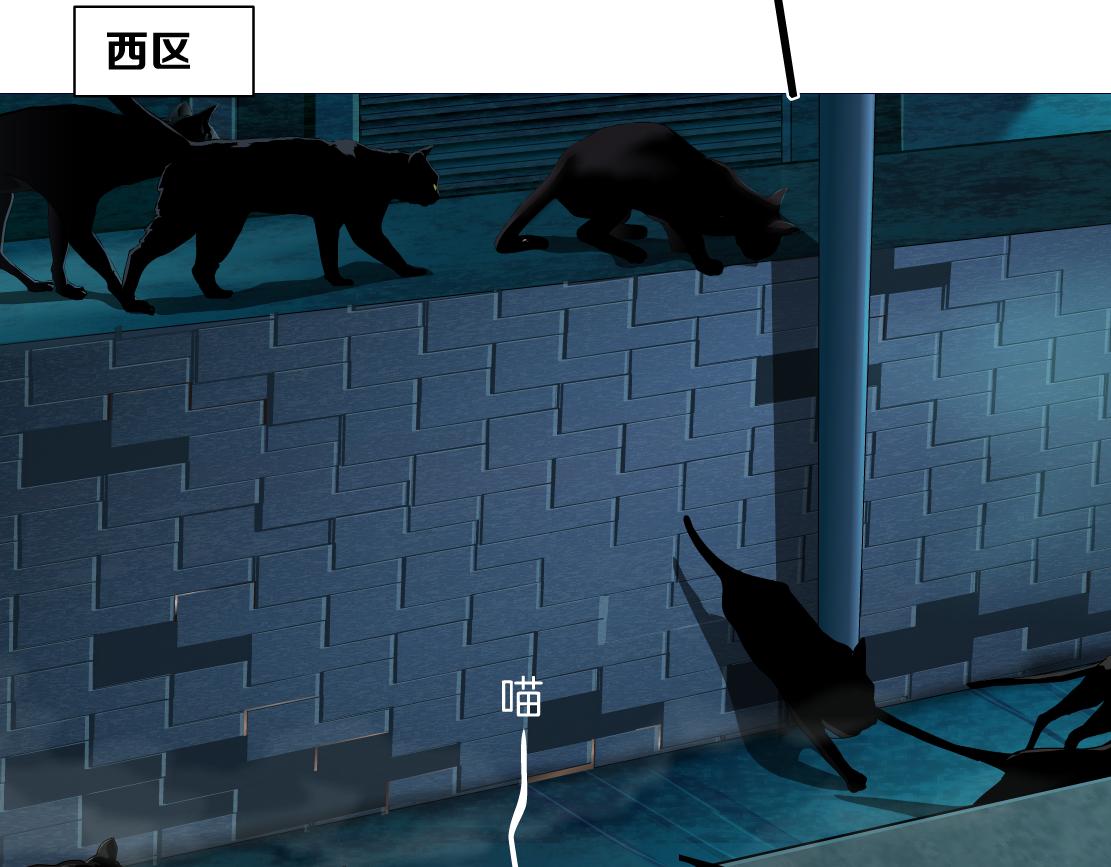 129【决战篇】猫语者51