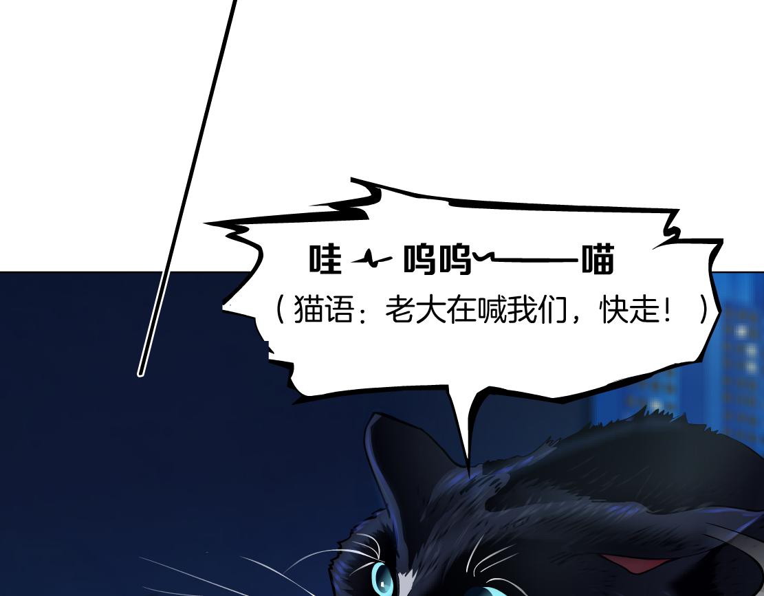 129【决战篇】猫语者46