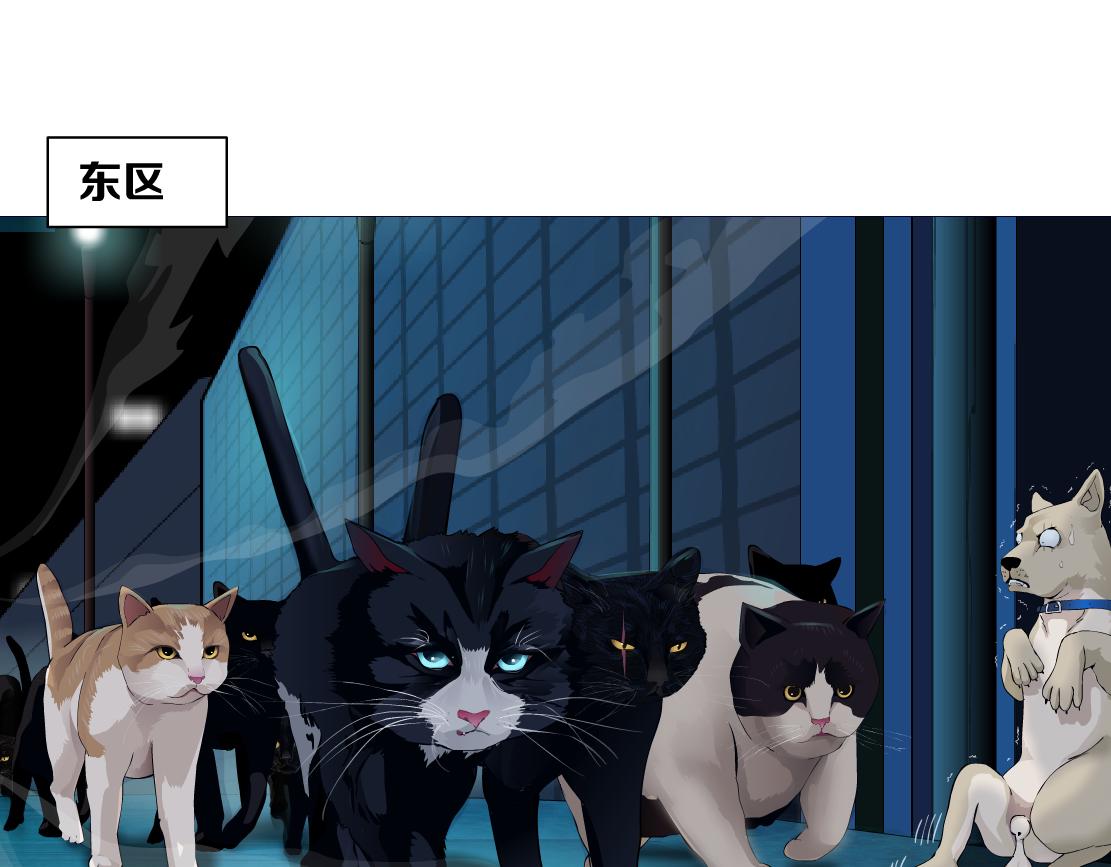 129【决战篇】猫语者48