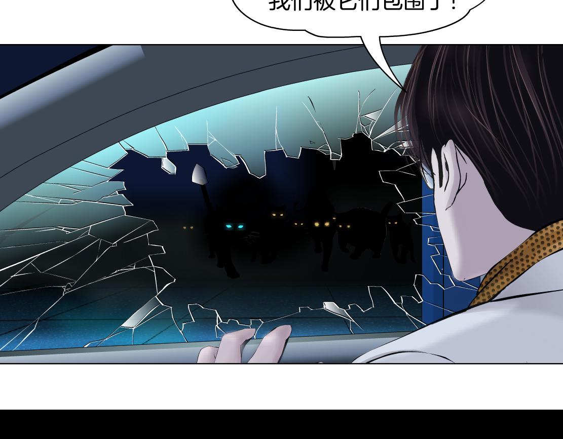 129【决战篇】猫语者56