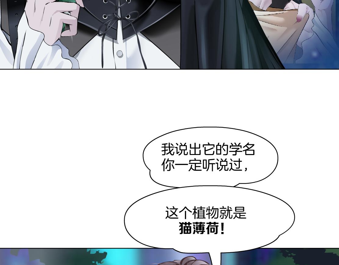 130【决战篇】我的另一半31