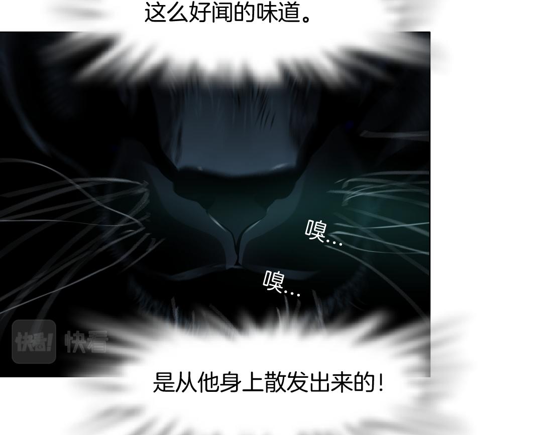 134【决战篇】把小白带走！50