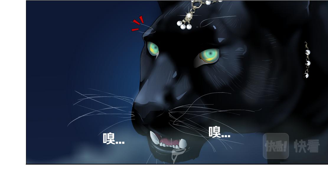 129【决战篇】猫语者7