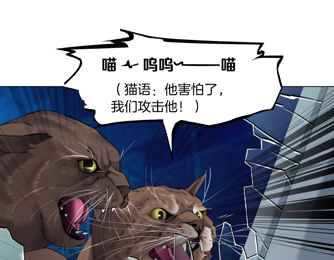 133【决战篇】黑则武知道啦！58