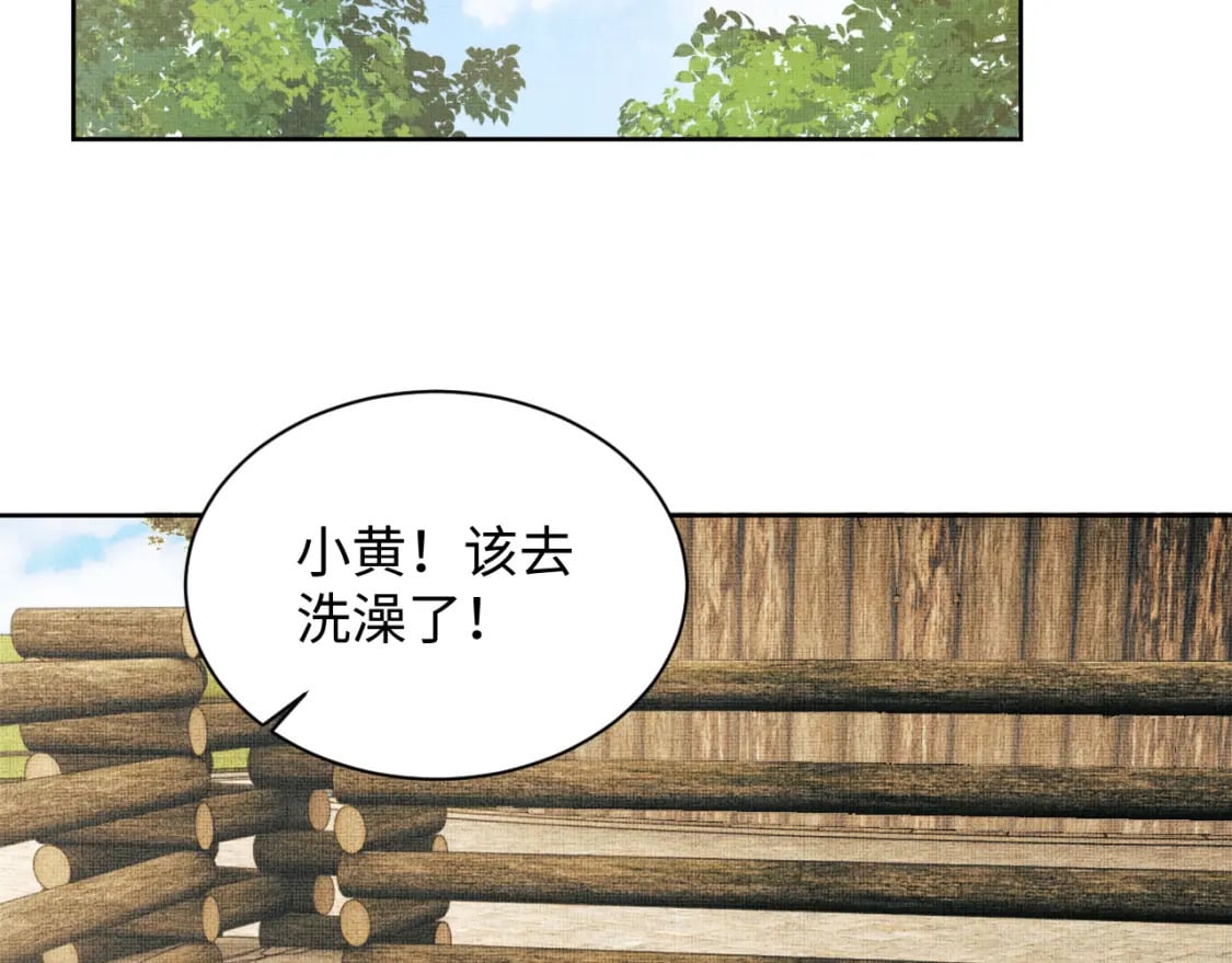 番外13 小黄的一天43